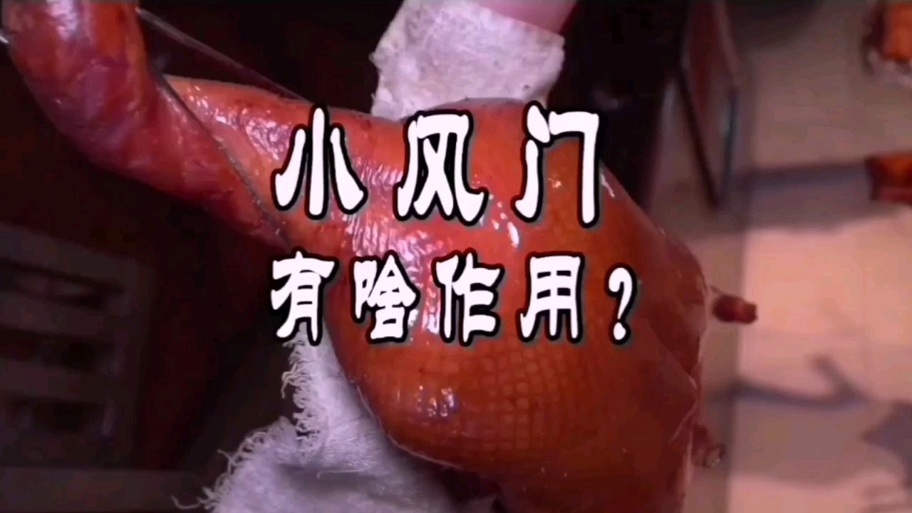 烧鸭炉两小风口用法?#美食课堂